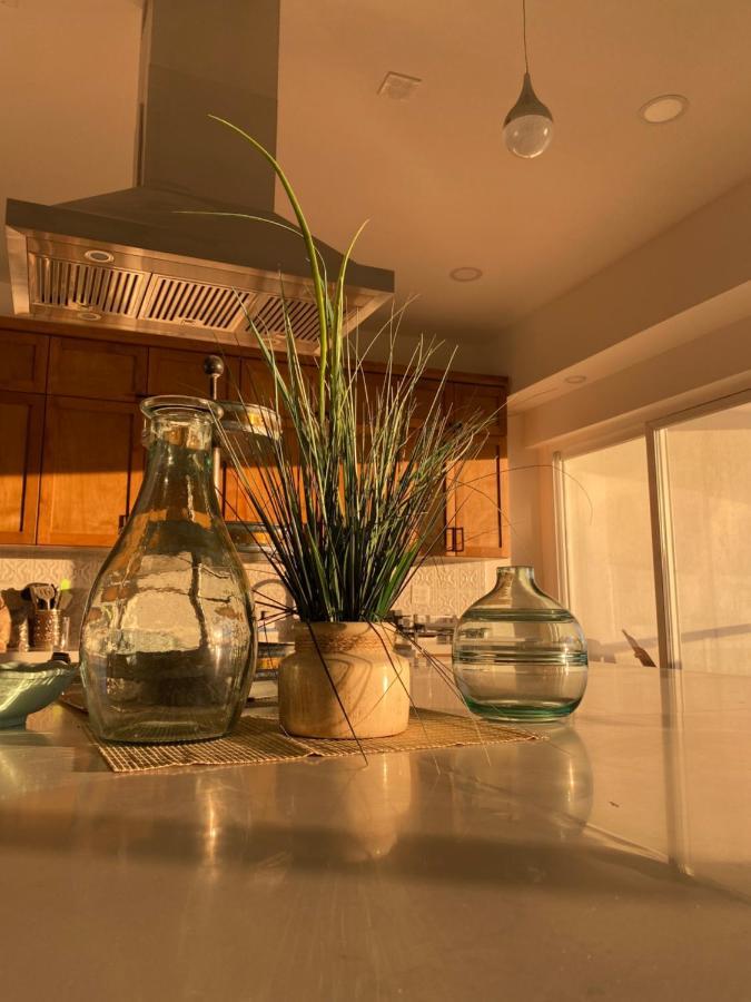 Beachfront 4 Bedroom Penthouse - Pool Steps To Beach & Mins To Downtown Rosarito Exteriér fotografie